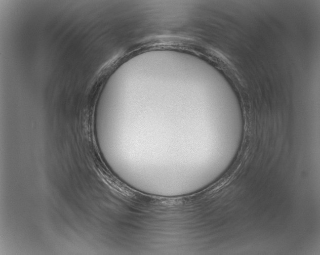 X0000060221403200510280859