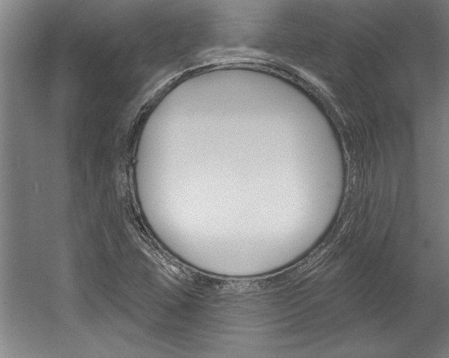 X0000060221407200510280859