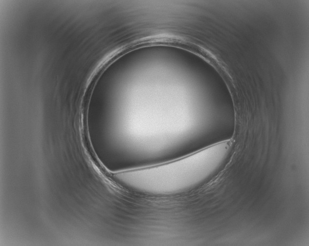 X0000060221418200510280859
