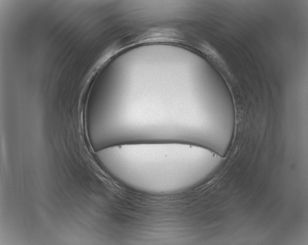 X0000060221419200510280900