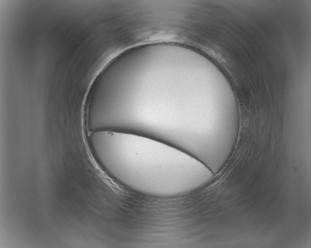 X0000060221423200510280900