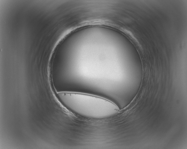 X0000060221424200510280900