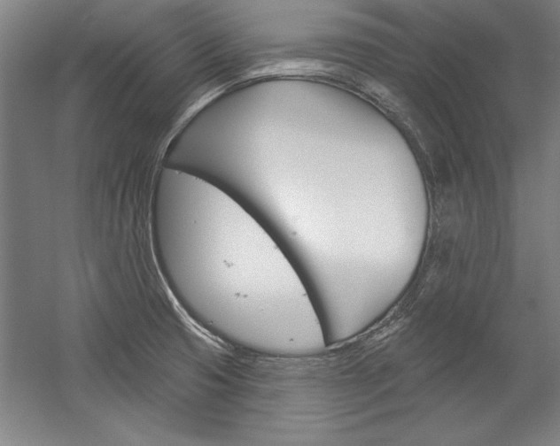 X0000060221425200510280900