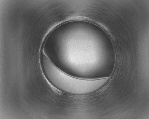 X0000060221430200510280900