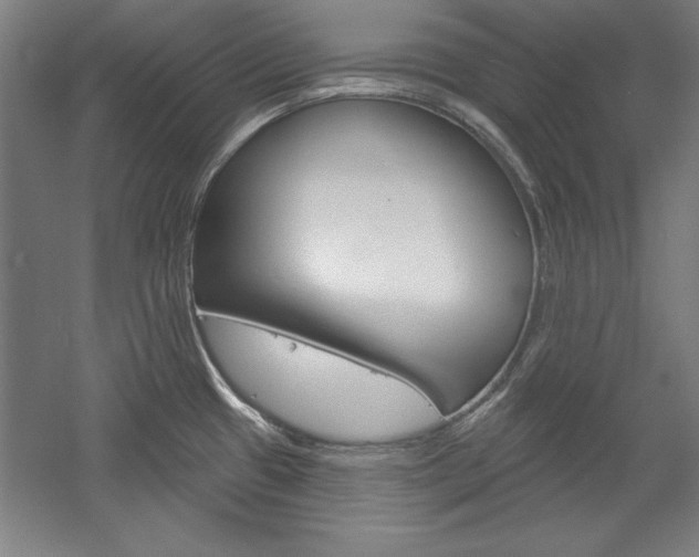 X0000060221433200510280900