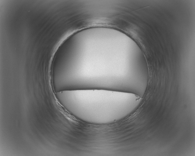 X0000060221435200510280900