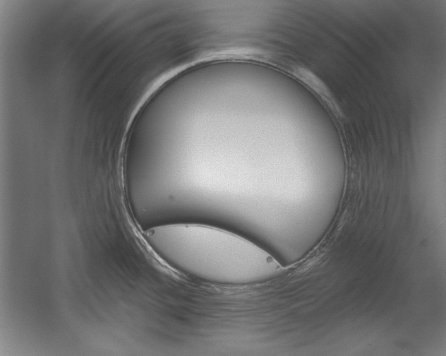 X0000060221436200510280900