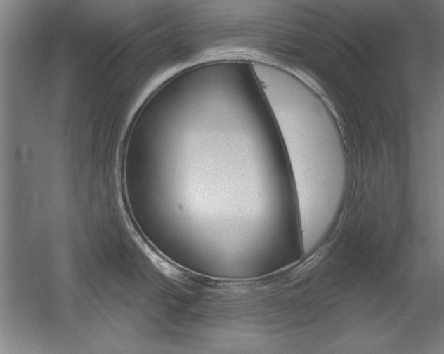 X0000060221438200510280900