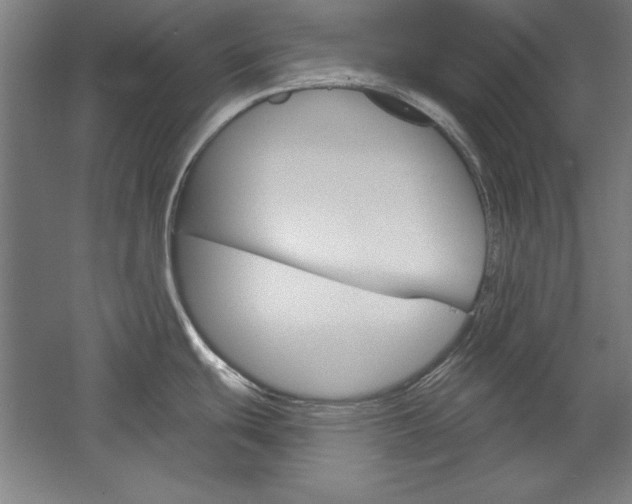 X0000060221439200510280900