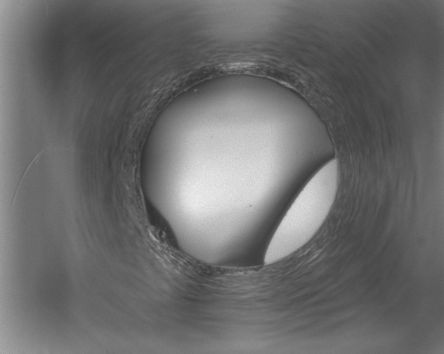 X0000060221441200510280859