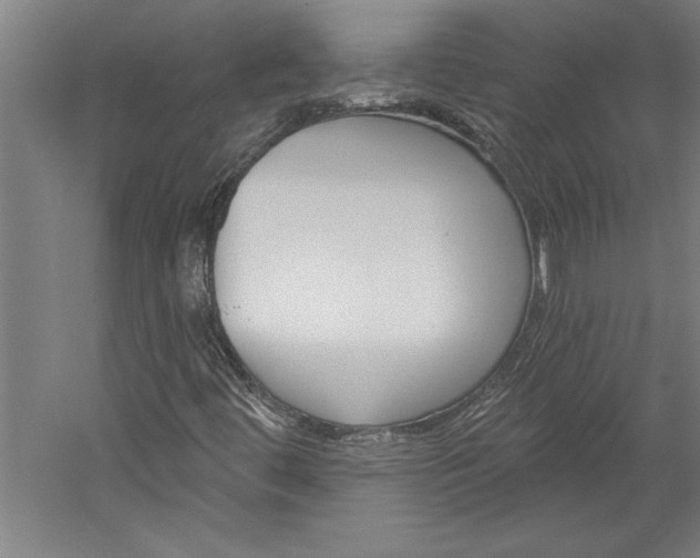 X0000060221444200510280859