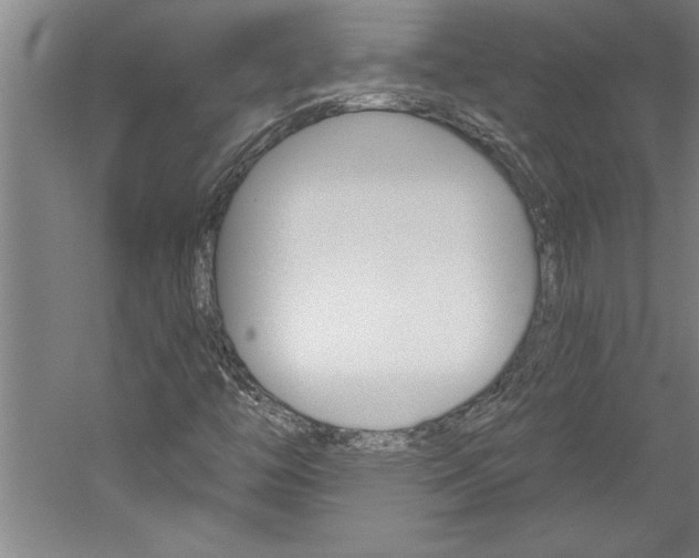 X0000060221446200510280859