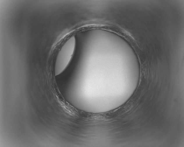 X0000060221448200510280859
