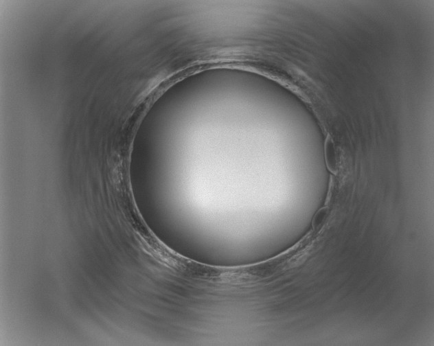 X0000060221449200510280859