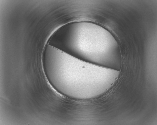 X0000060221476200510280858