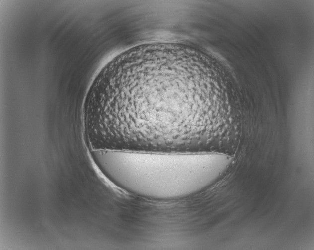 X0000060221479200510280858