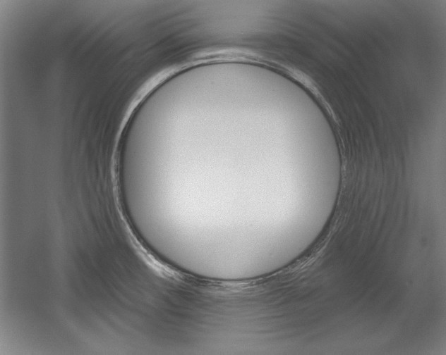 X0000060221482200510280858