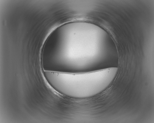 X0000060221483200510280858