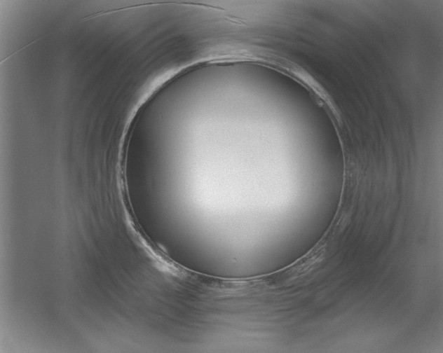 X0000060221485200510280858