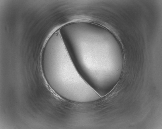 X0000060221488200510280858