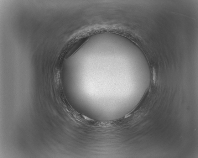 X0000060221492200510280857