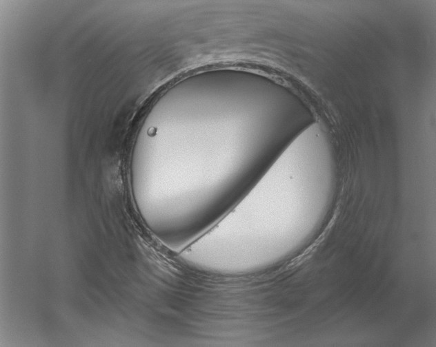 X0000060221497200510280858