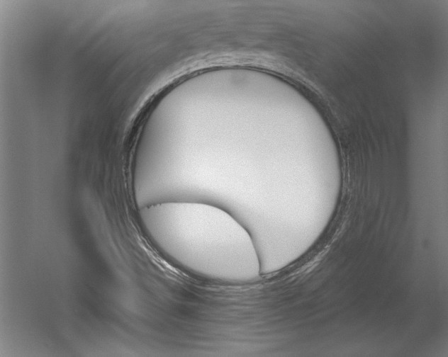 X0000060221498200510280858