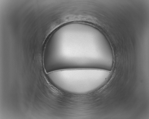 X0000060221505200510280858