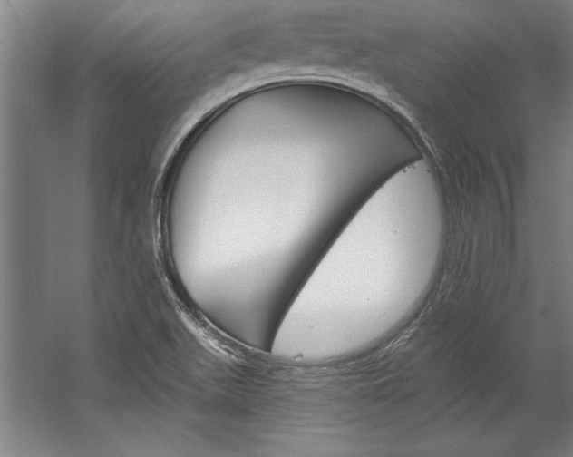 X0000060221511200510280858
