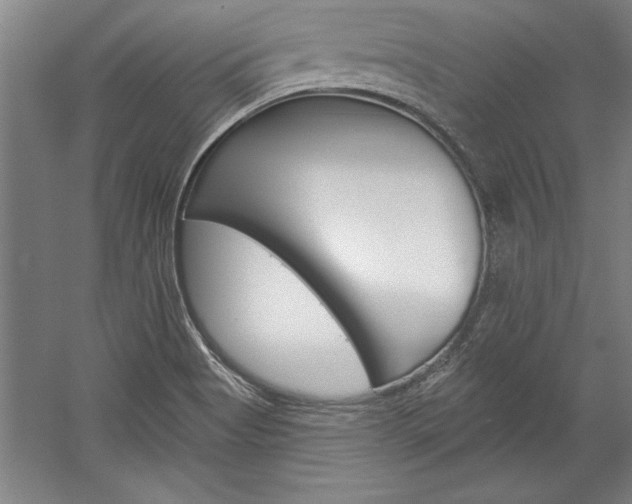 X0000060221513200510280858