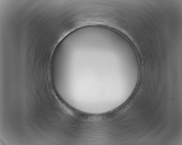 X0000060221521200510280858