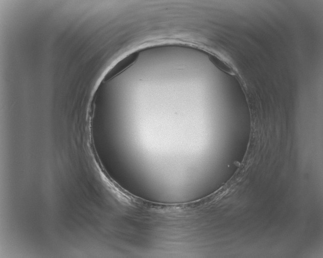 X0000060221524200510280858