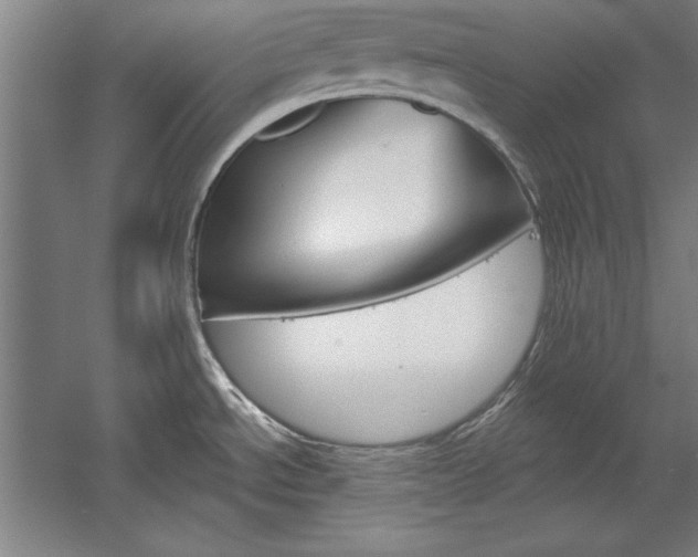 X0000060221534200510280858