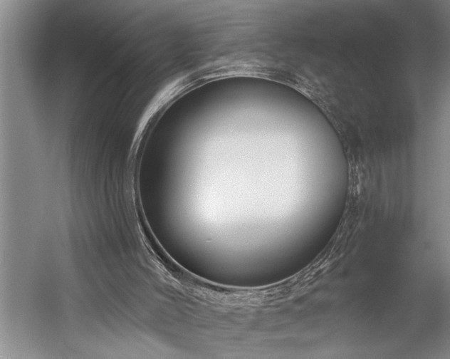 X0000060220004200510281120