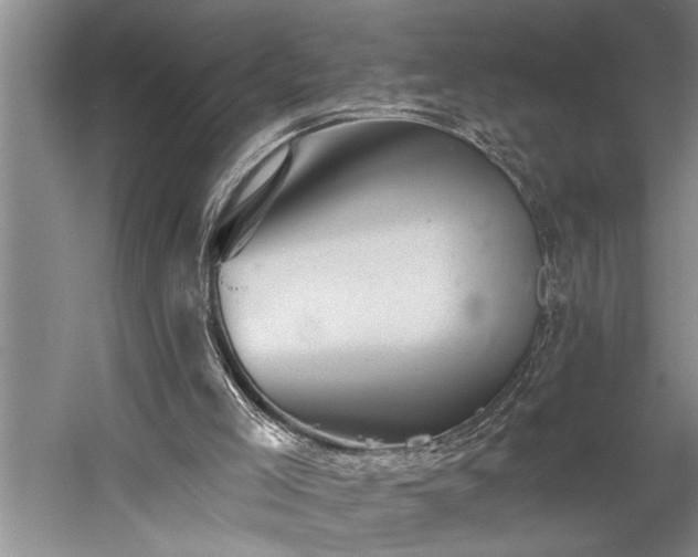 X0000060220005200510281120