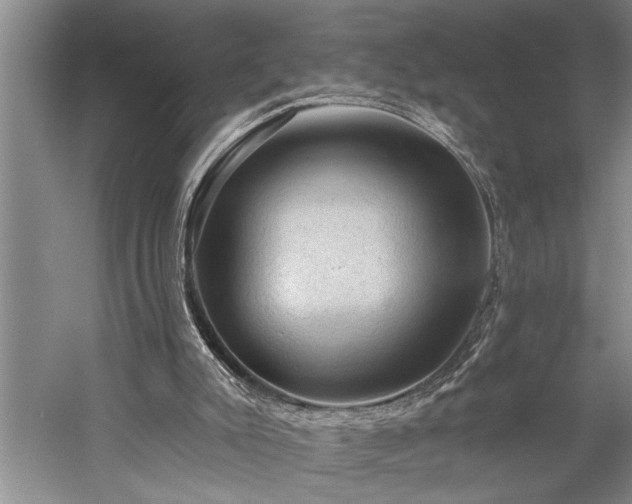 X0000060220007200510281120