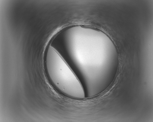 X0000060220008200510281120