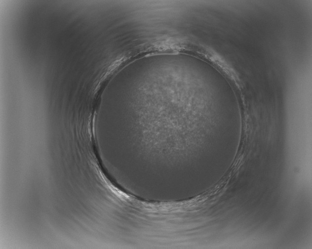 X0000060220009200510281120