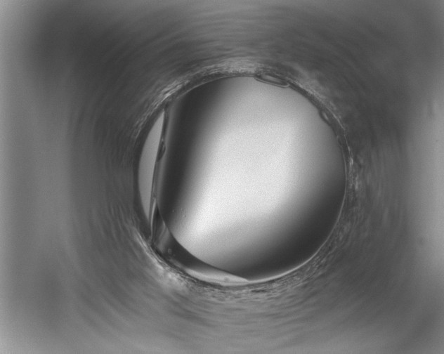 X0000060220013200510281120