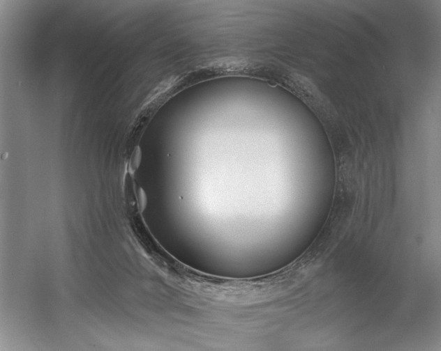 X0000060220024200510281120