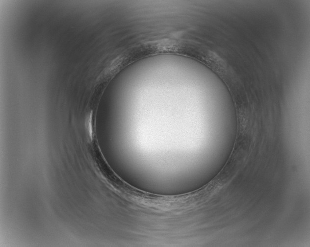 X0000060220028200510281119