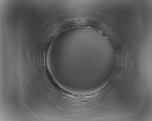 X0000060220035200510281119