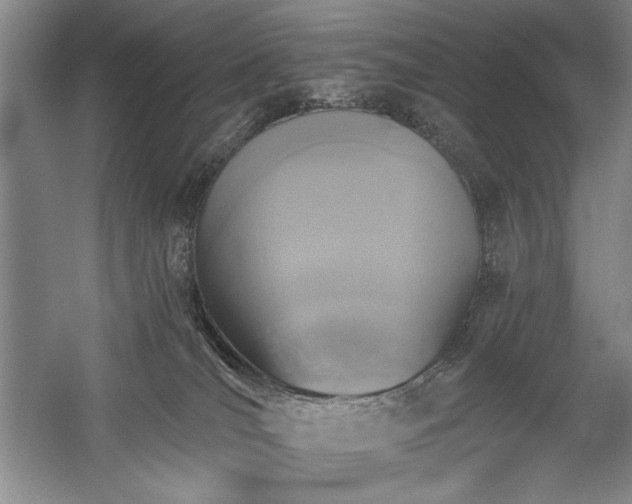 X0000060220036200510281119