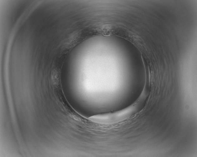 X0000060220037200510281119