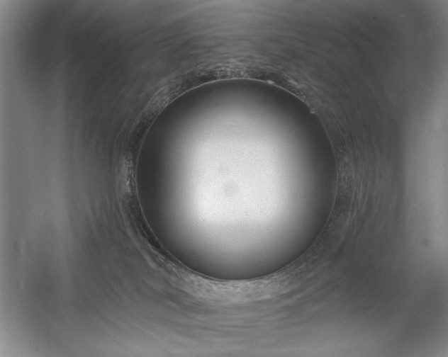 X0000060220038200510281119