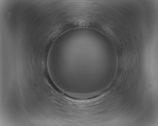 X0000060220039200510281119