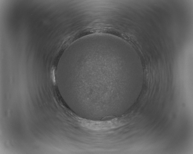 X0000060220042200510281119
