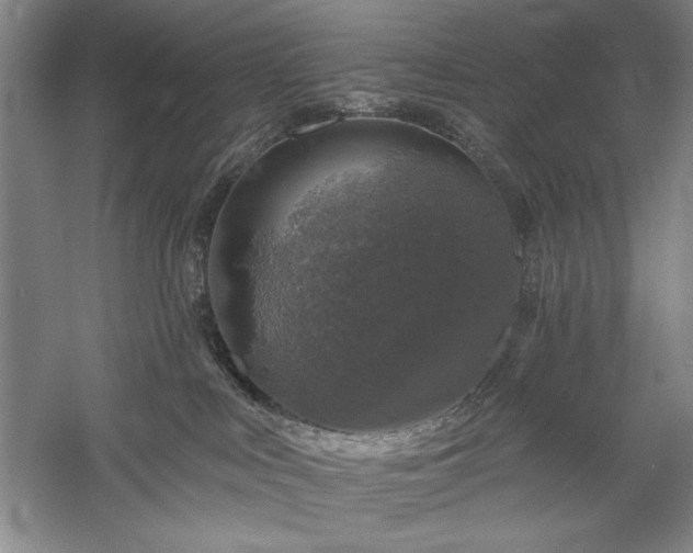 X0000060220043200510281119