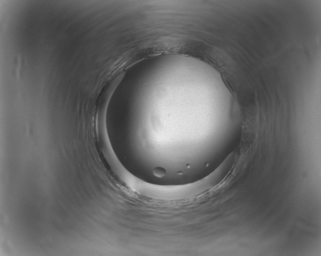 X0000060220045200510281119