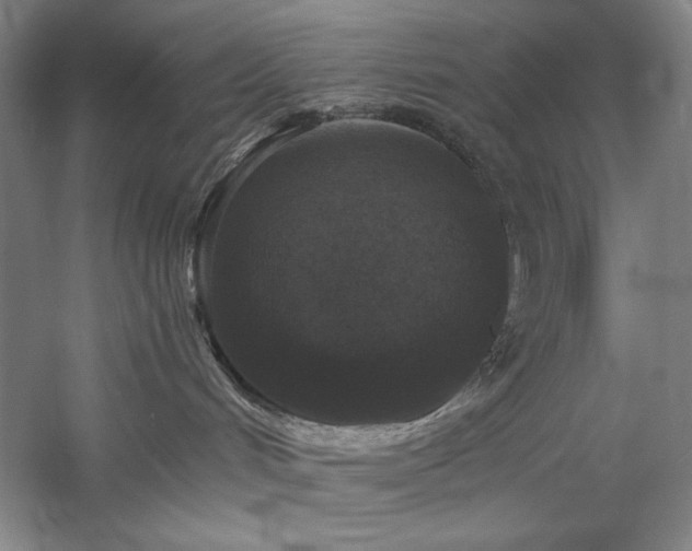 X0000060220048200510281119